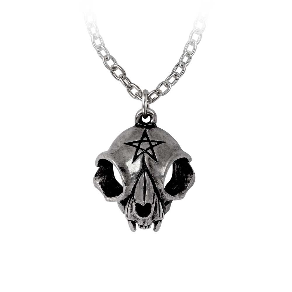 Alchemy - My Forever Friend Collier - Couleur argent